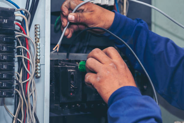 Best Electrician for Home Renovation  in Home Gardens, CA