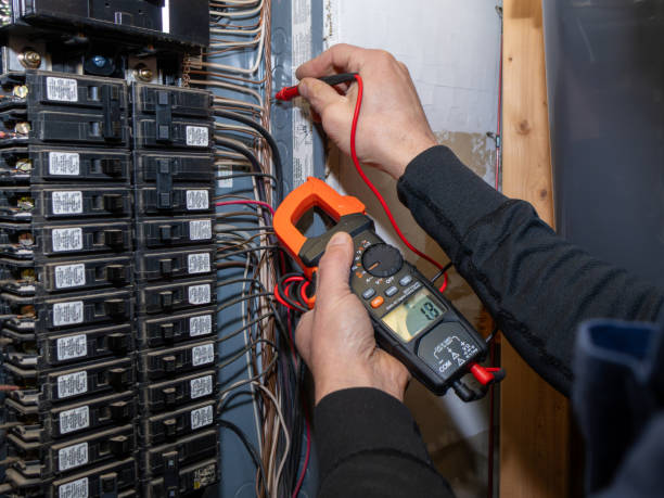 Best Residential Electrician Services  in Home Gardens, CA